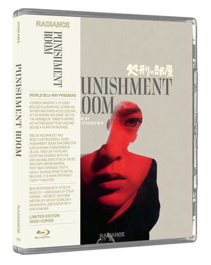 Punishment Room (Limited Edition) [Blu-ray]