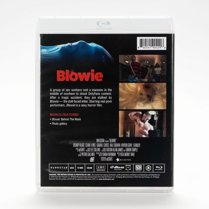 Blowie - underlying case back artwork