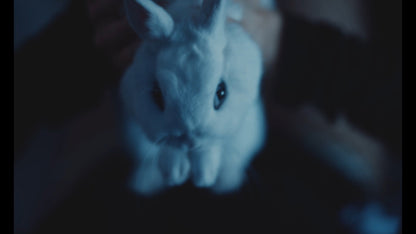 Bunnylovr - film still 5