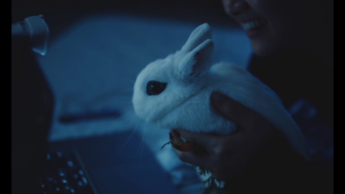 Bunnylovr - film still 6