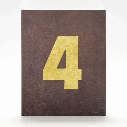 Front cover of Reviver 4 [Blu-ray]