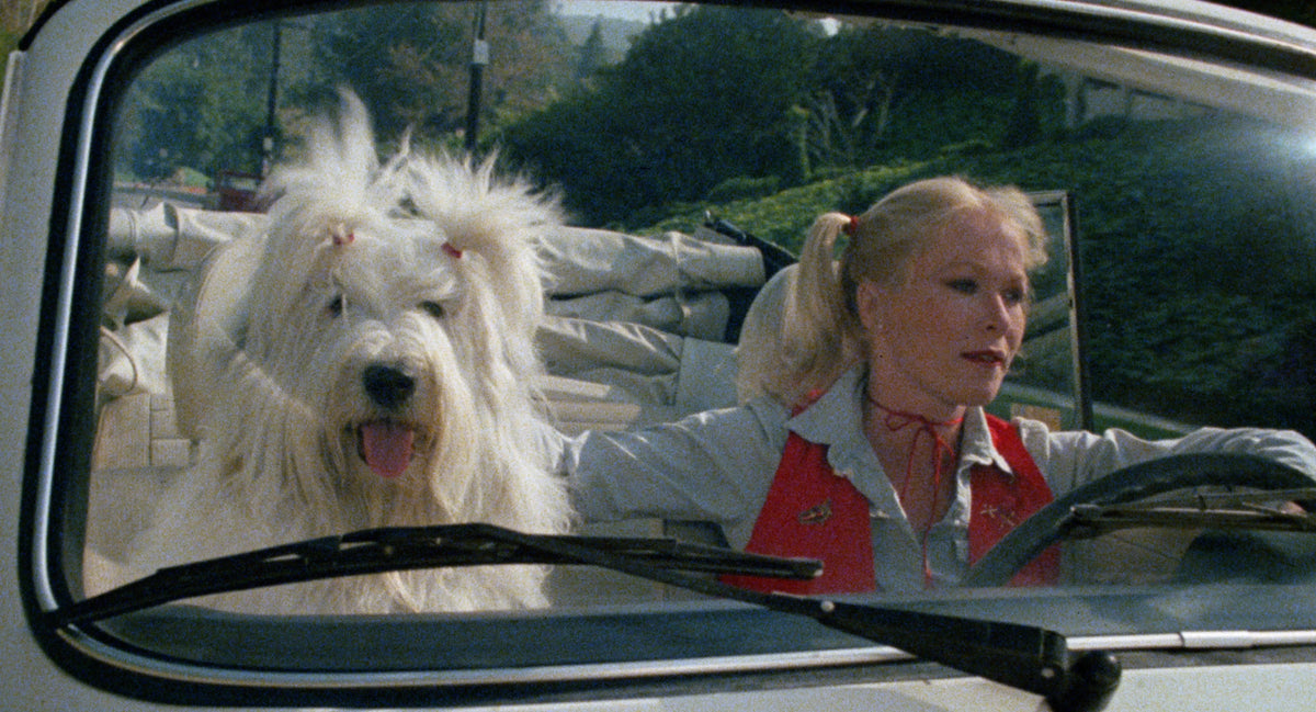 Screen grab 3 of Charli [Blu-ray]