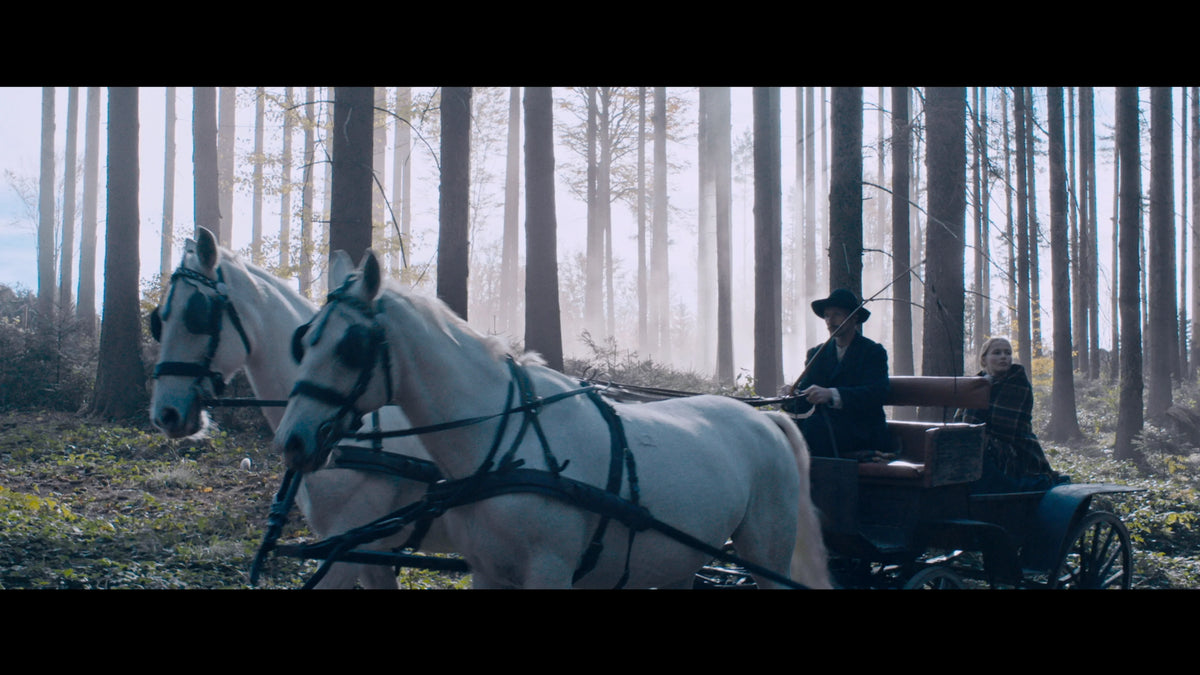 Screen grab 1 of Chambermaid [Blu-ray]