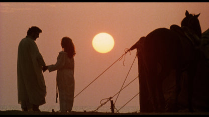 Screen grab 2 of Tobe Hooper's Night Terrors (Alternate Case) [Blu-ray]