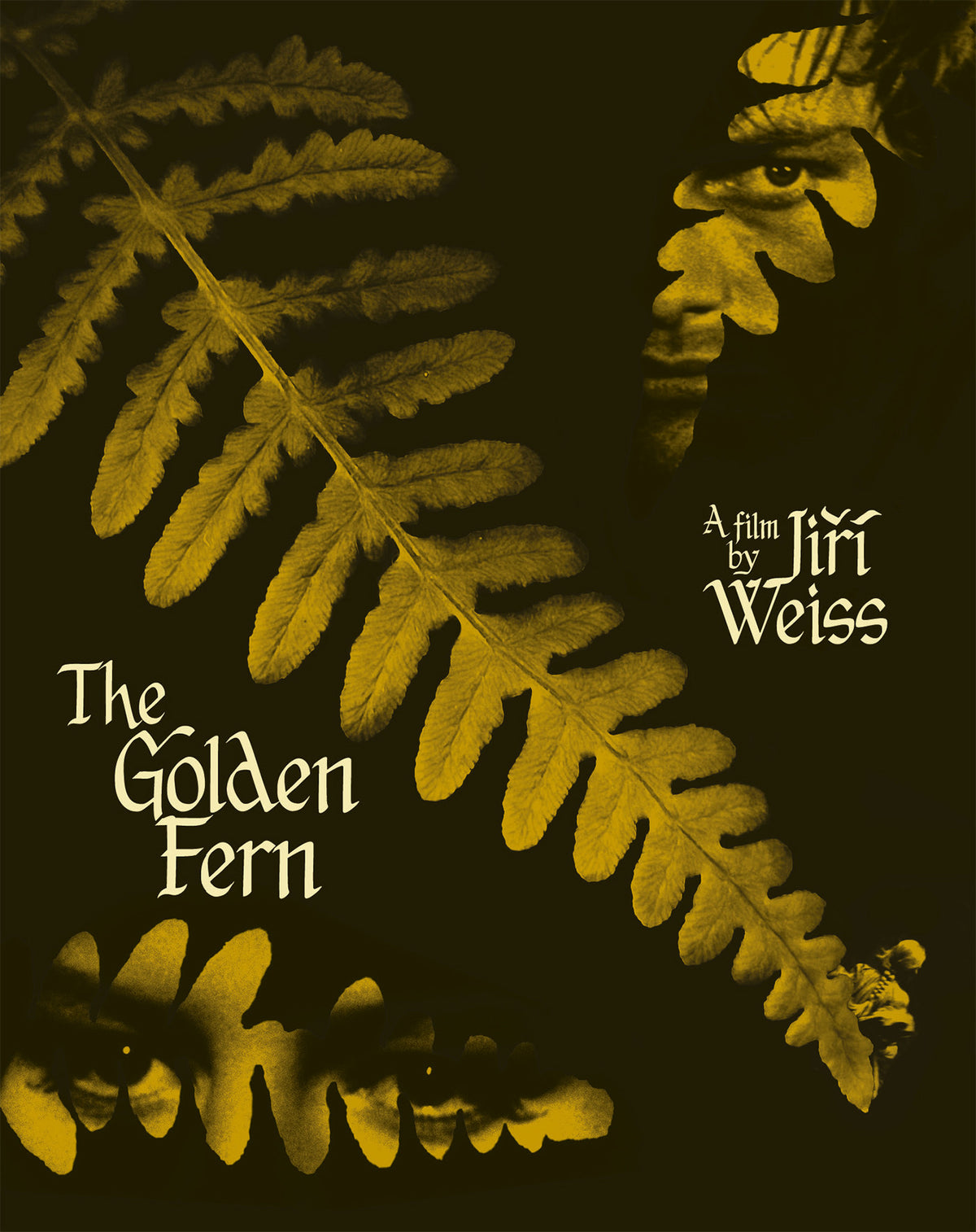 Front cover of The Golden Fern [Blu-ray]