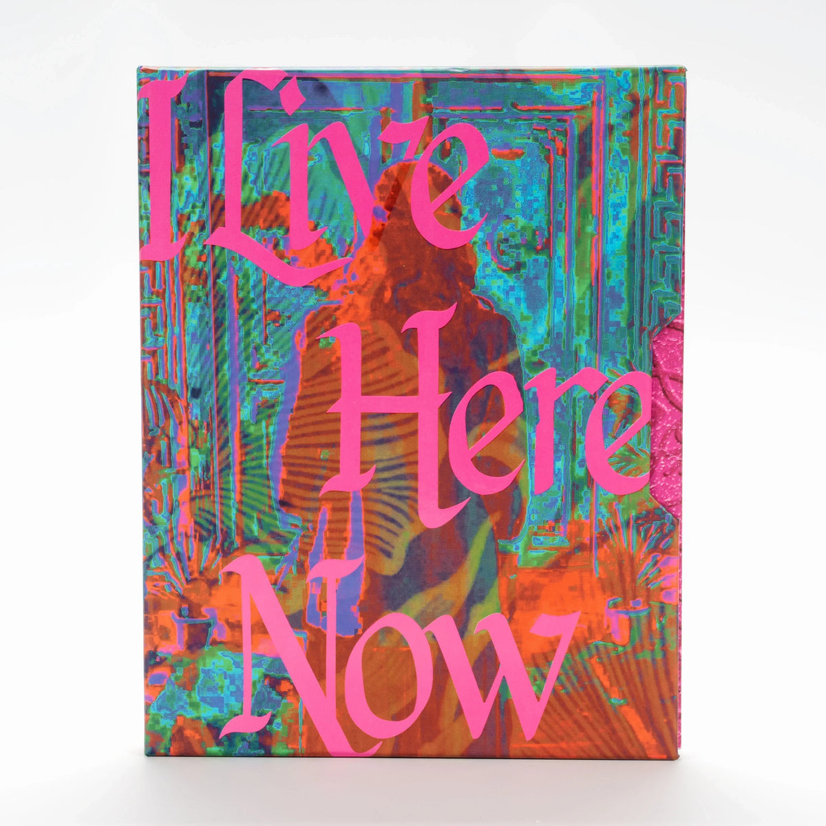 Front cover of I Live Here Now [Blu-ray]