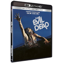 3D art of The Evil Dead (1981) (UK Import) [4K Ultra HD + Blu-ray]
