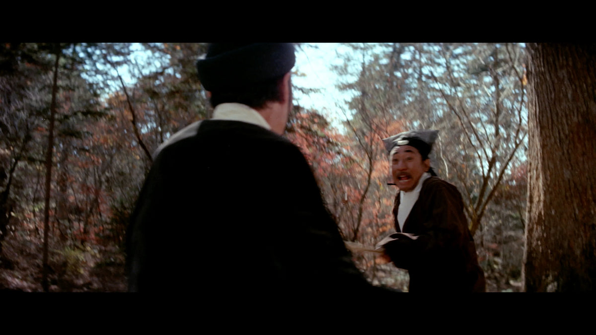 Screen grab 4 of Raining in the Mountain [Blu-ray]