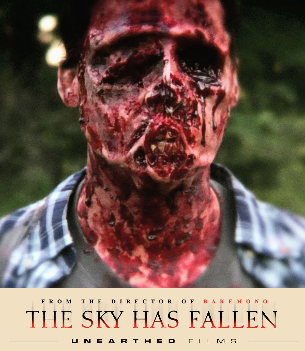 Front cover of The Sky Has Fallen [Blu-ray]