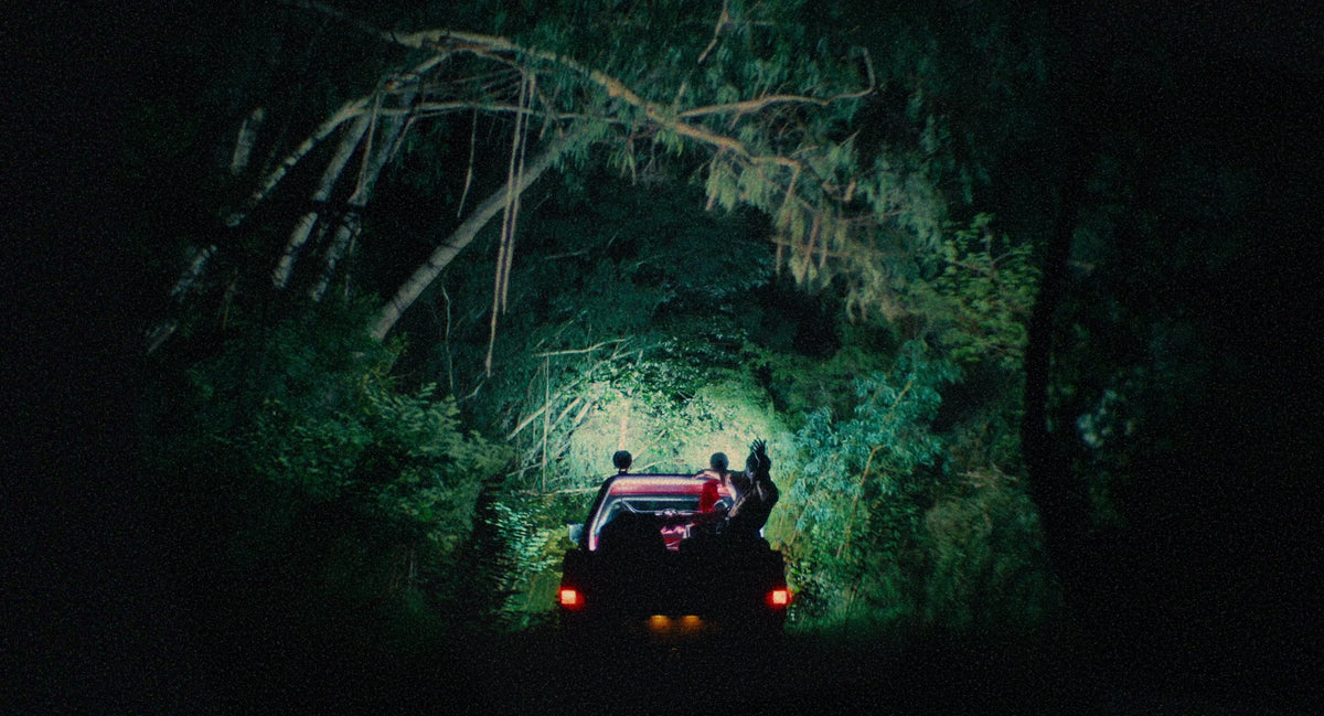 Screen grab 6 of Birdeater [Blu-ray]