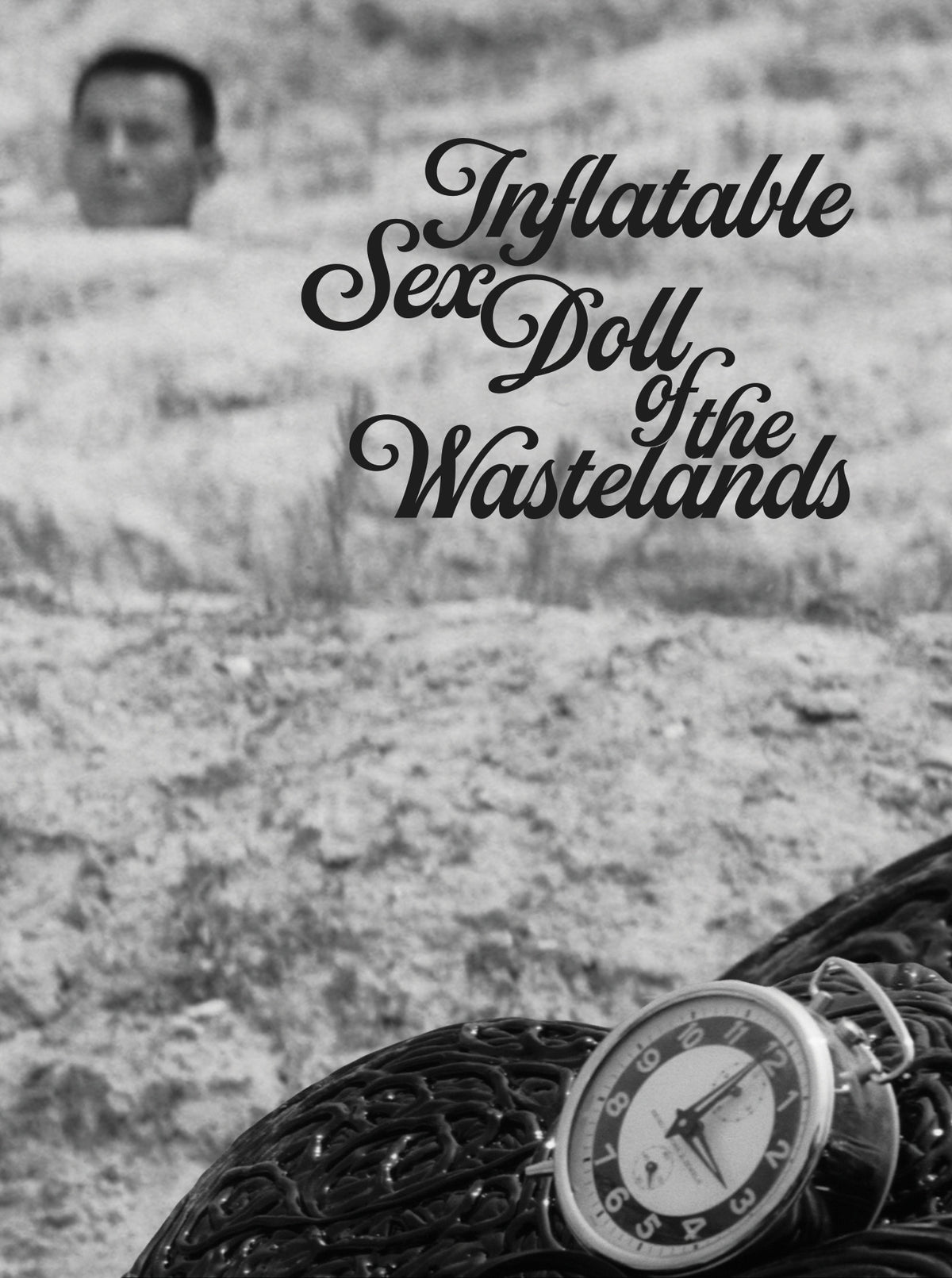 Front cover of Inflatable Sex Doll Of The Wastelands [Blu-ray]