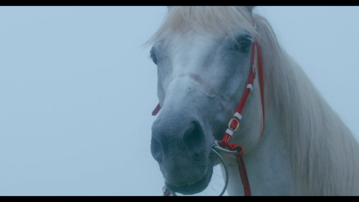 Screen grab 1 of White River [Blu-ray]