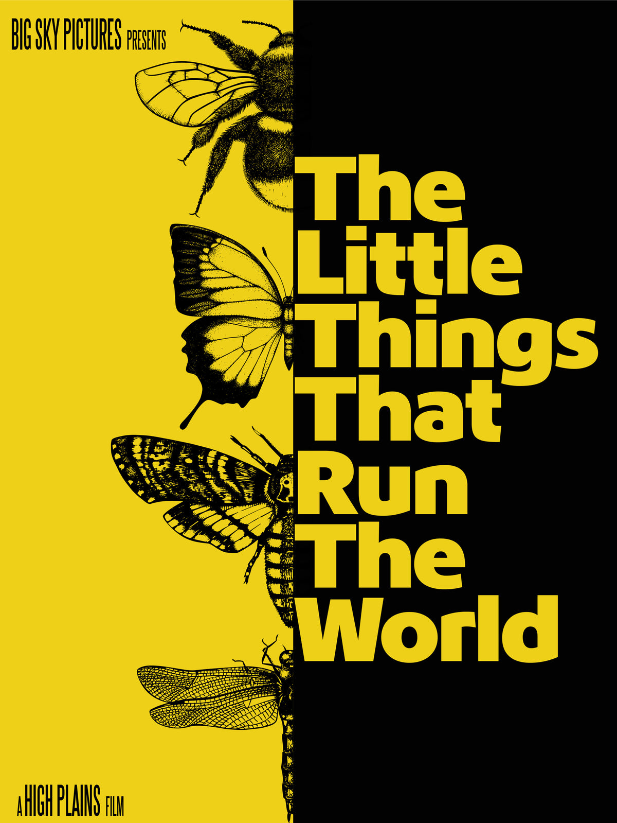 Front cover of The Little Things That Run The World [Blu-ray]