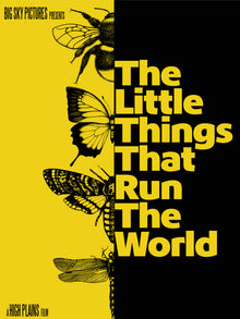 Front cover of The Little Things That Run The World [Blu-ray]
