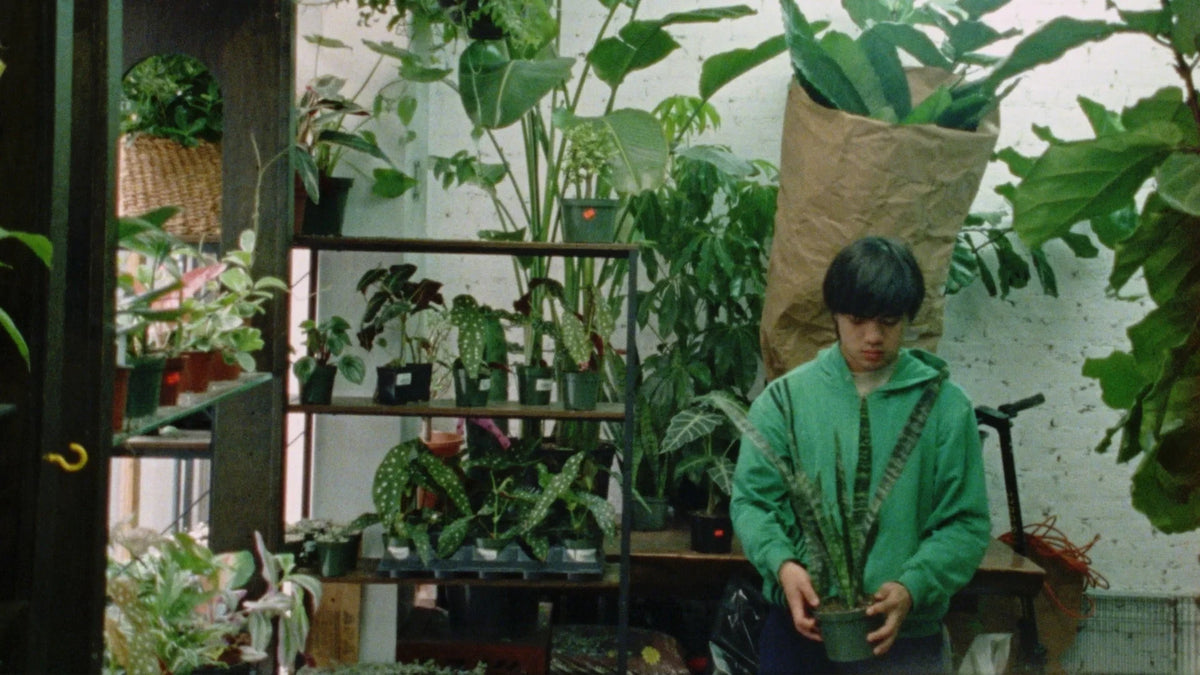 Screen grab 4 of Softshell [Blu-ray]