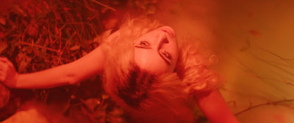 Screen grab 5 of She Loved Blossoms More [Blu-ray]