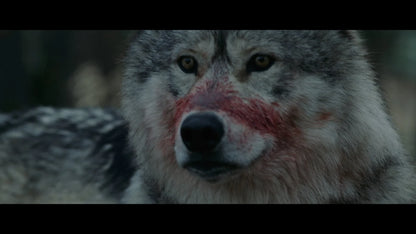 Screen grab 5 of Out Come the Wolves [Blu-ray]
