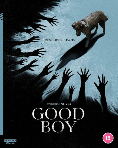 Front cover of Good Boy (2025) (UK Import) [4K Ultra HD]