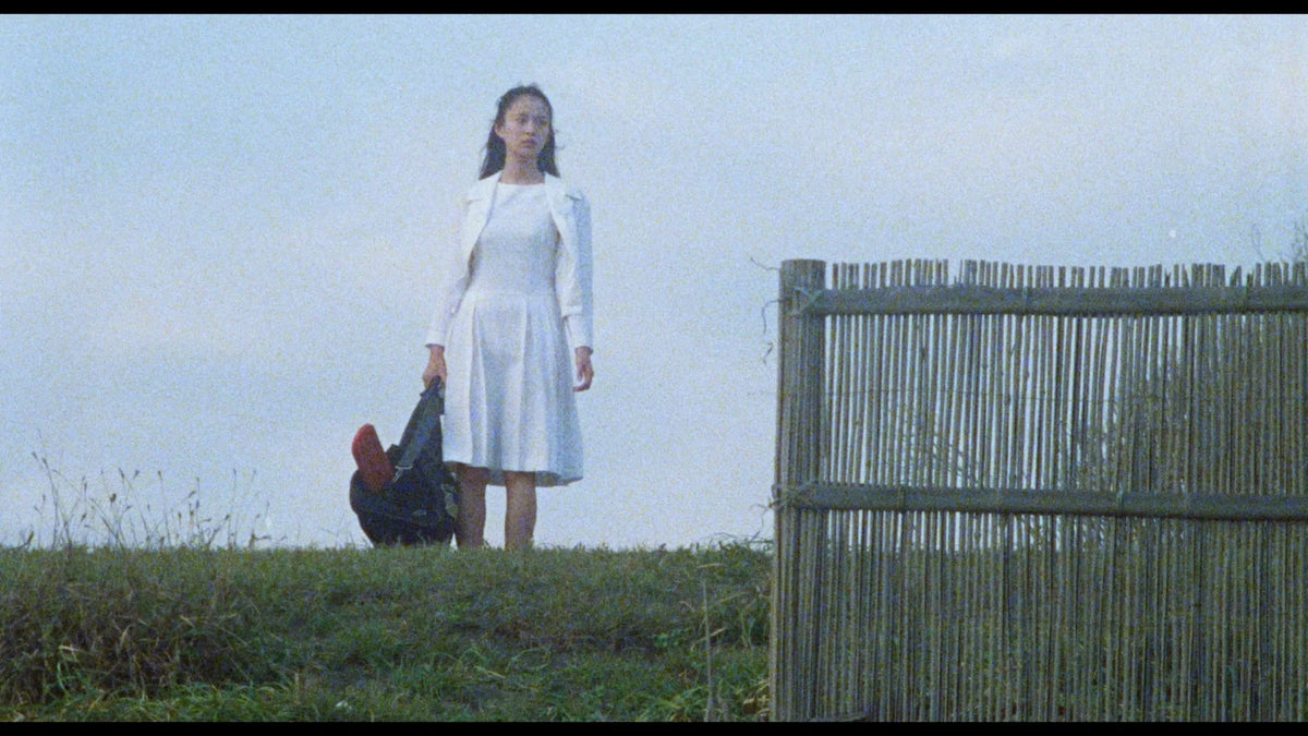 Screen grab 1 of The Films of Hisayasu Sato: Volume #4 Limited Edition [Blu-ray]