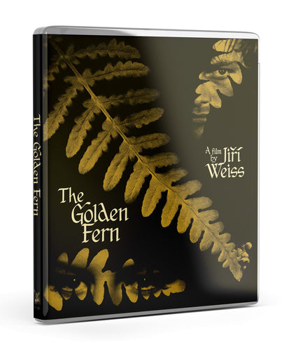 3D art of The Golden Fern [Blu-ray]