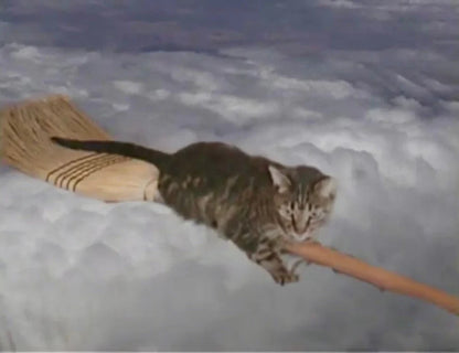 Screen grab 5 of The Stupefying Siren Tales of Pamela Sutch [Blu-ray]