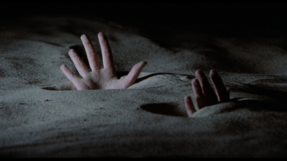 Still 5 from Phase IV [4K Ultra HD + Blu-ray Set]