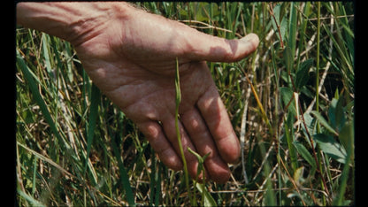 Screen grab 3 of 7 Walks with Mark Brown [Blu-ray]