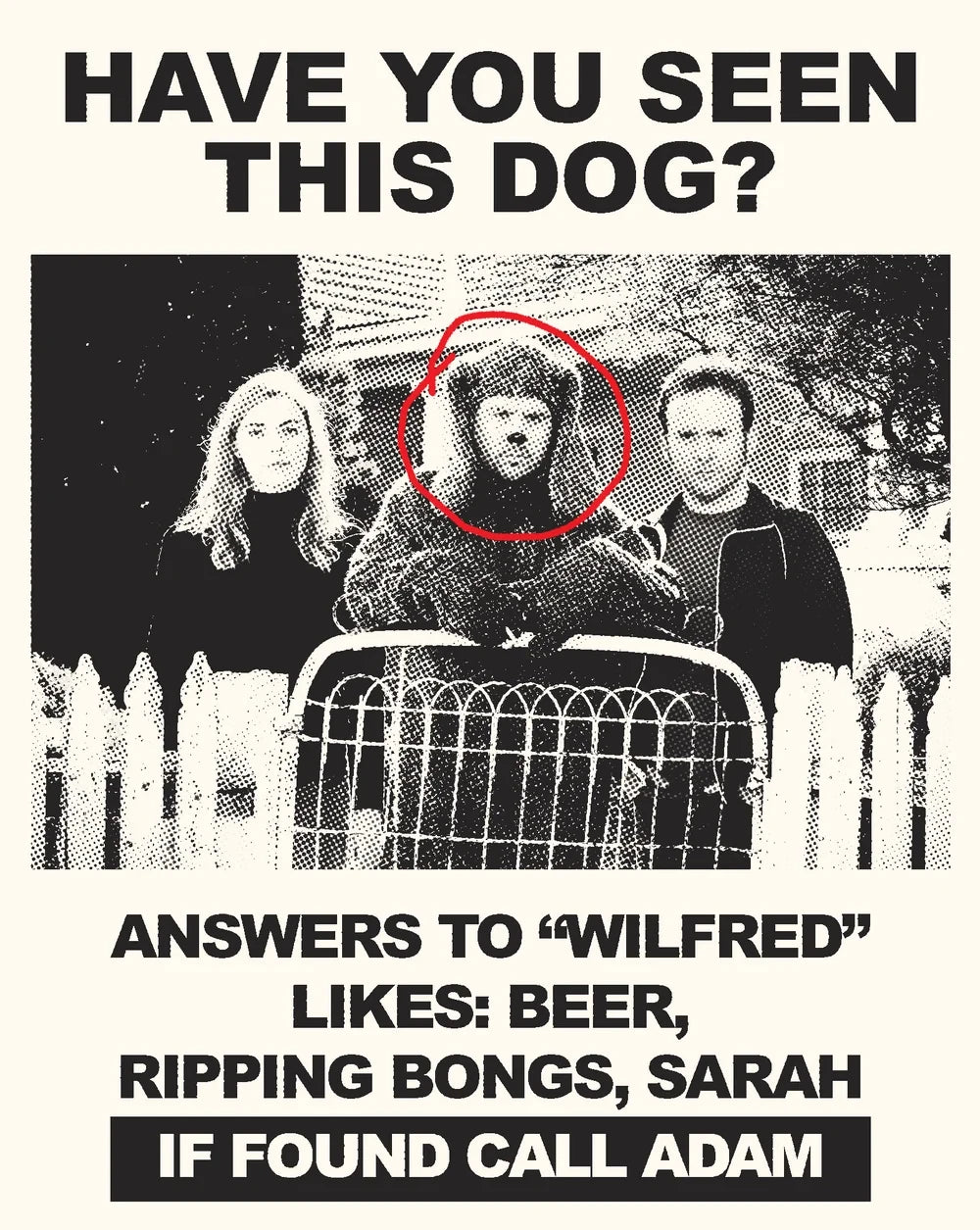 Front cover of Wilfred: Complete Series I & II [Blu-ray]
