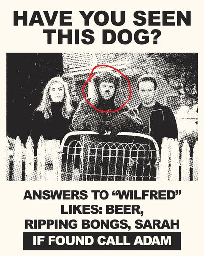 Front cover of Wilfred: Complete Series I & II [Blu-ray]
