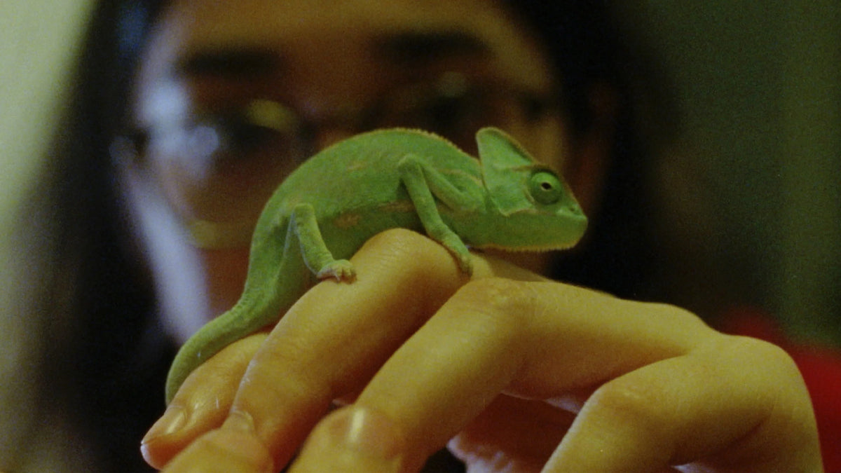 Screen grab 5 of Softshell [Blu-ray]