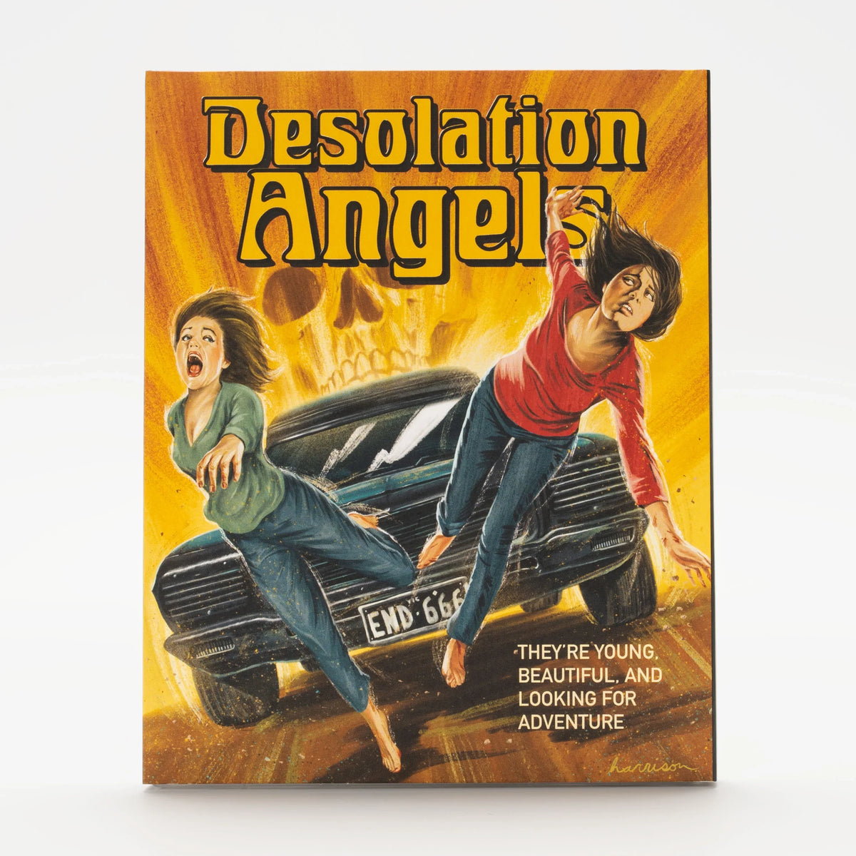 Front cover of Desolation Angels [Blu-ray]