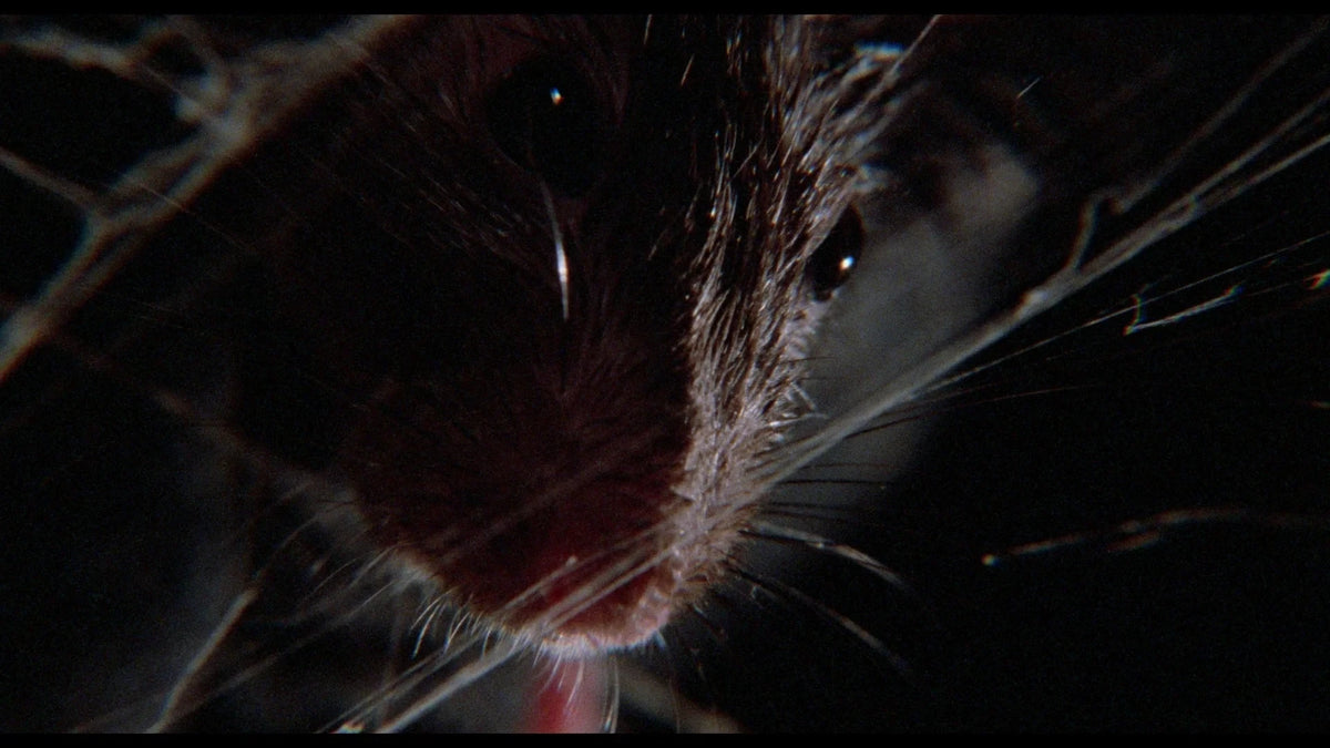 Screen grab 4 of Of Unknown Origin [4K Ultra HD + Blu-ray]