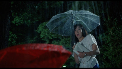 Screen grab 5 of The Films of Hisayasu Satô: Volume #1 [Blu-ray Set]