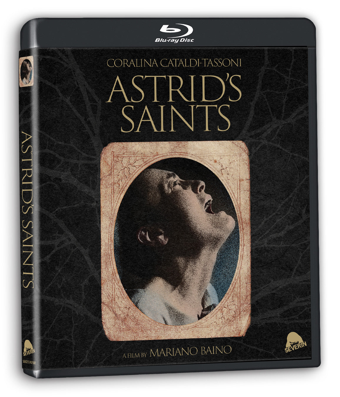 3D art of Astrid's Saints [Blu-ray]