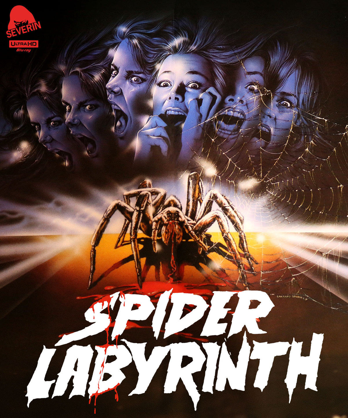 Front cover of Spider Labyrinth [4K Ultra HD + Blu-ray]