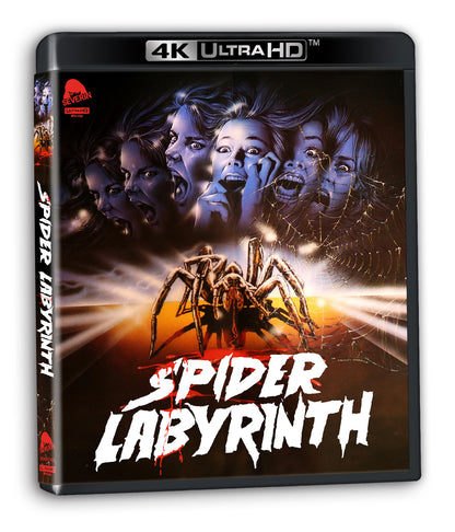 3D art of Spider Labyrinth [4K Ultra HD + Blu-ray]