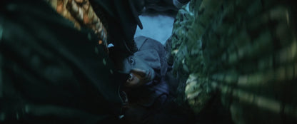 Screen grab 4 of She Loved Blossoms More [Blu-ray]
