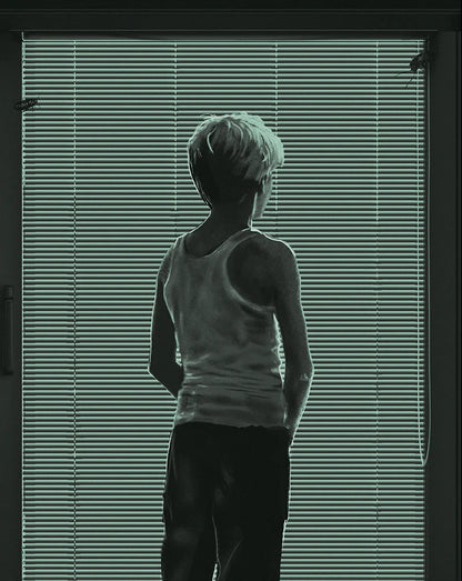 Back cover of Goodnight Mommy aka Ich Seh, Ich Seh (2014) [Blu-ray]