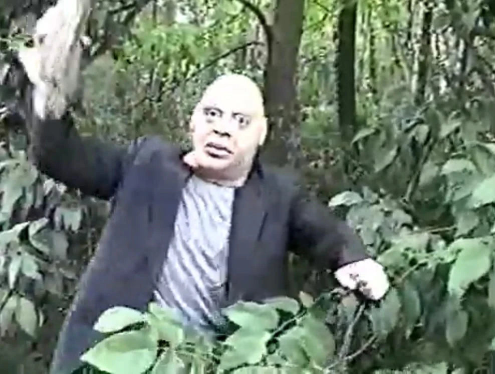 Screen grab 3 of David "The Rock" Nelson Collection: Volume 3 [Blu-ray]