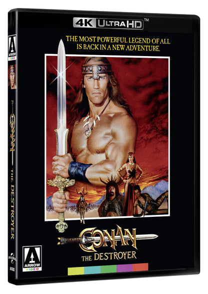 3D art of Conan The Destroyer [Standard Edition] [4K Ultra HD]