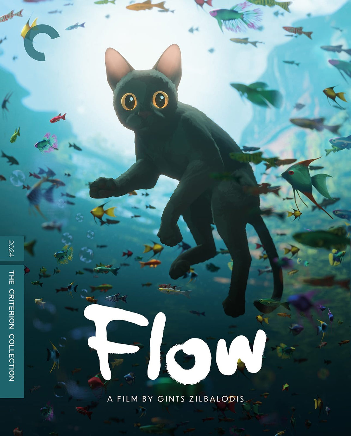 Front cover of Flow [4K Ultra HD + Blu-ray]