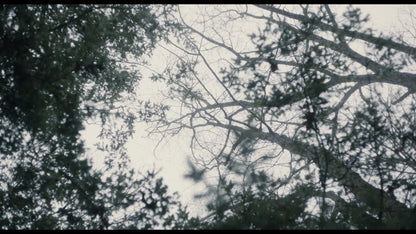 Screen grab 6 of Diane Limited Edition [Blu-ray]