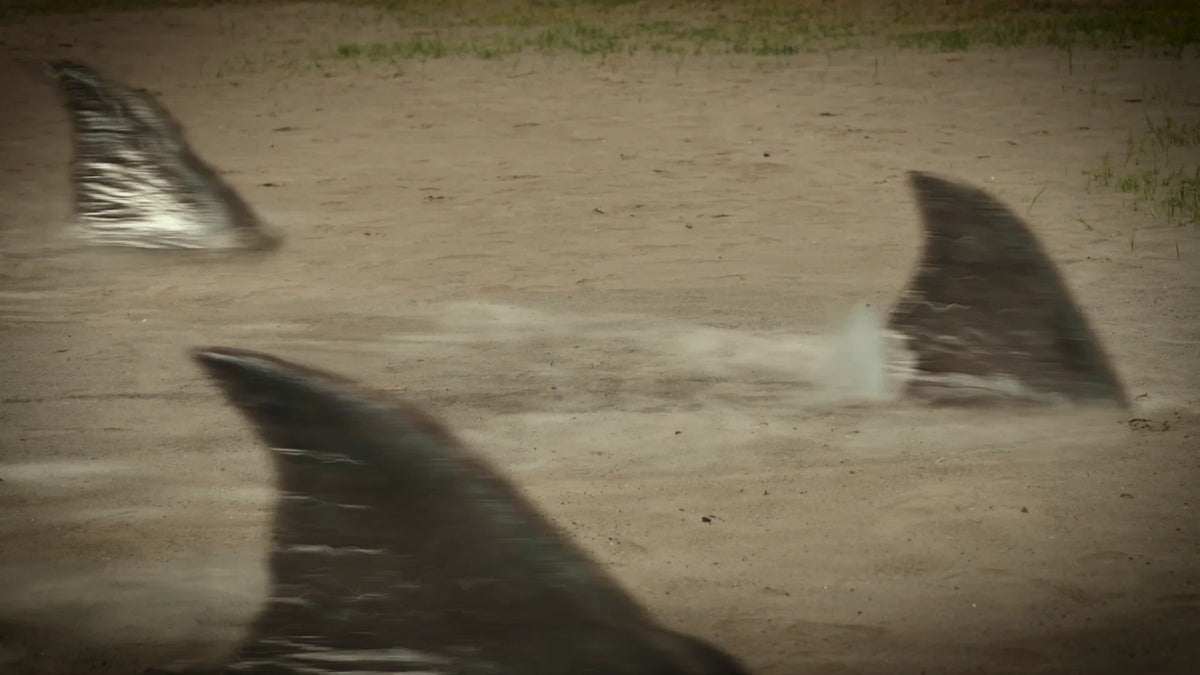 Screen grab 5 of Hot Spring Shark Attack [Blu-ray]