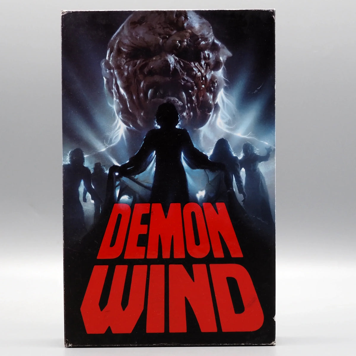 Front cover of Demon Wind - Limited Edition Deluxe LED [VHS]