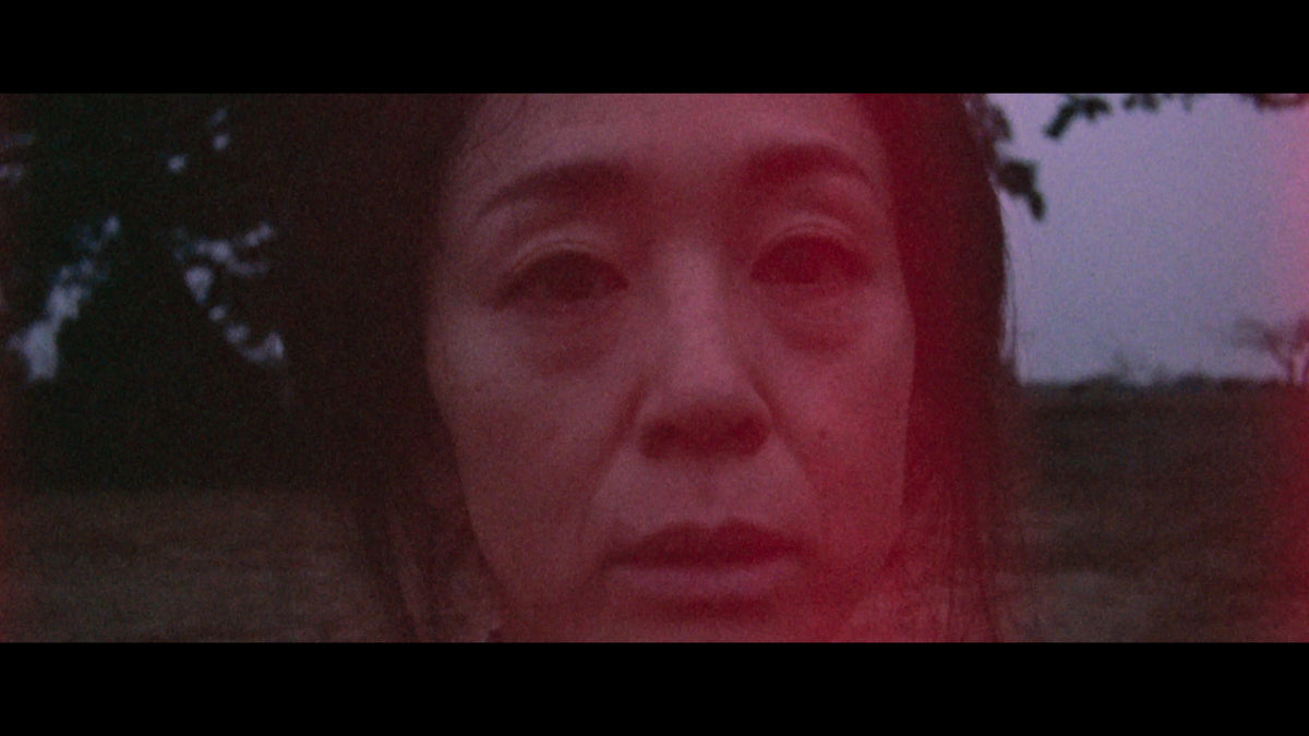 Screen grab 4 of Bushido [Blu-ray]