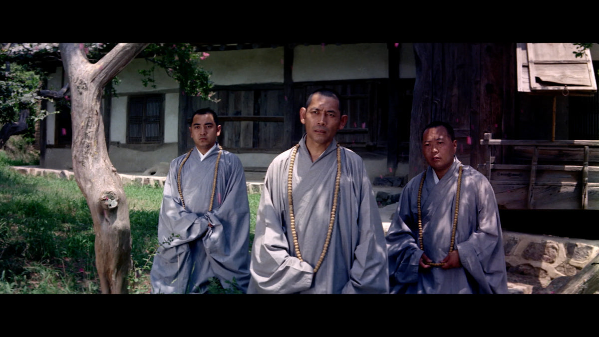 Screen grab 2 of Raining in the Mountain [Blu-ray]