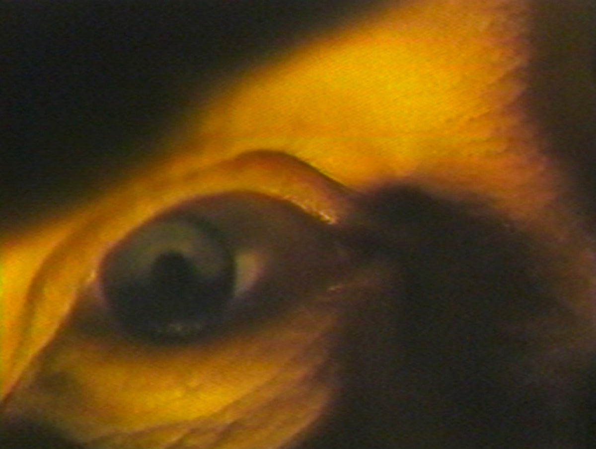 Highway Hypnosis - film still 1