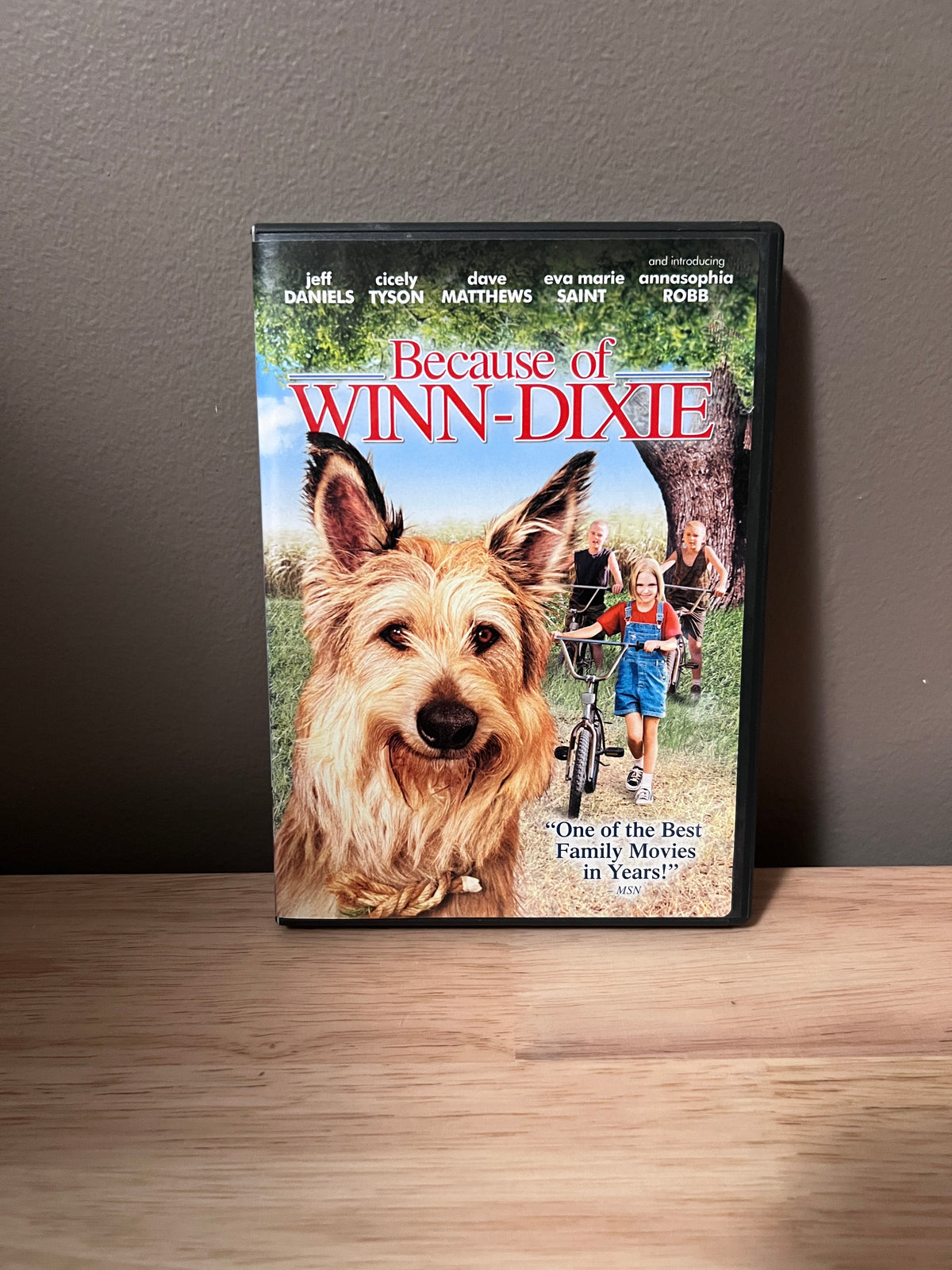 Front cover of Because of Winn-Dixie DVD