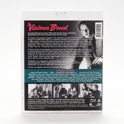 The Vicious Breed - underlying case back artwork